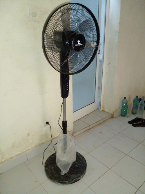 Electric floor fan